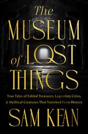Cover von Museum Of Lost Things