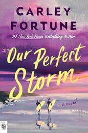 Cover von Our Perfect Storm